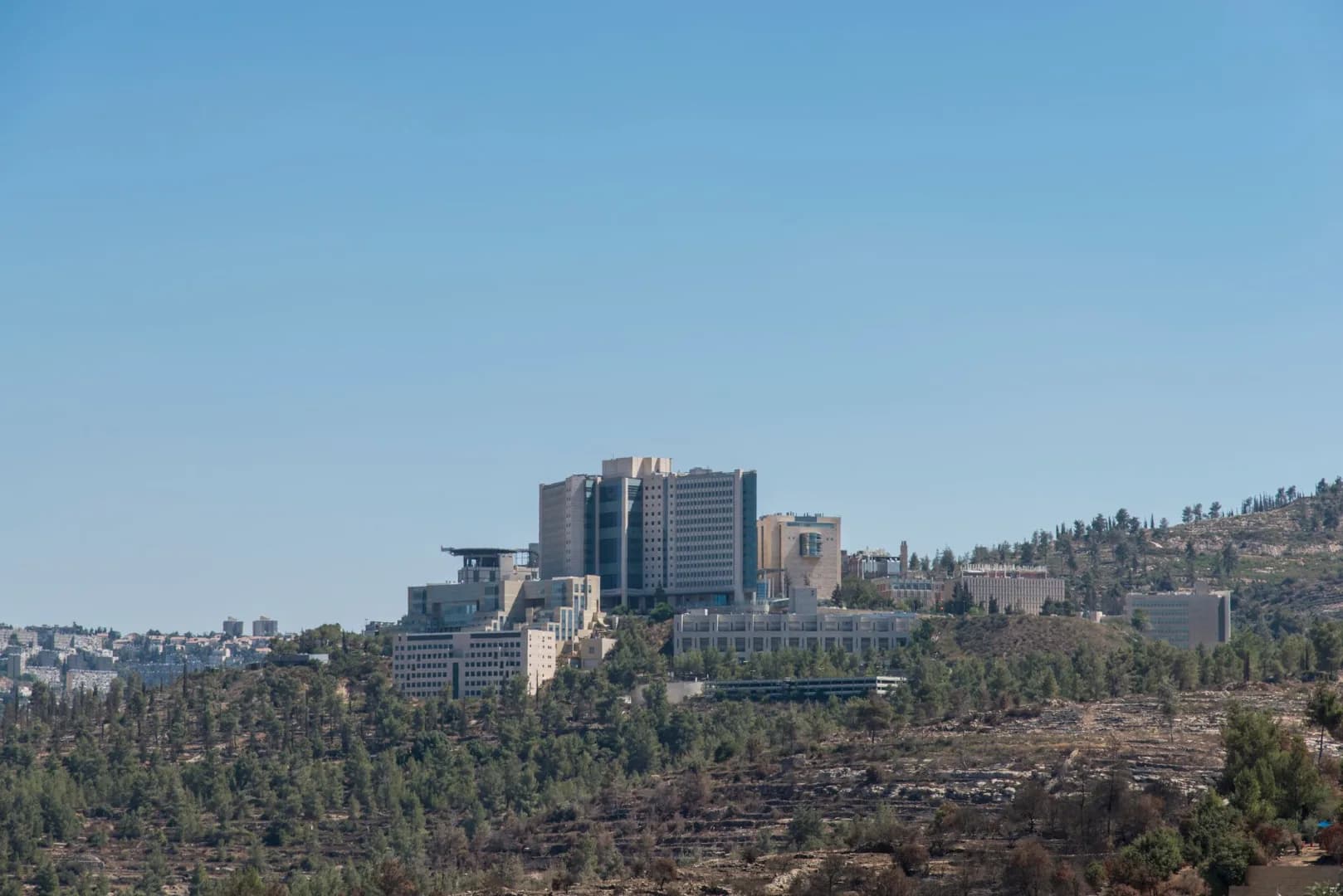 Hospital Hadassah de Jerusalén: '¿Sin vacunar? ¡No hay cirugía para ti!