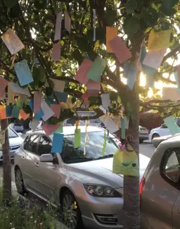 Hope and connection: La Jollan plans to make a tradition of messages on her ‘wishing trees’